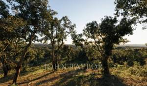 Prodej Pozemek São Francisco da Serra