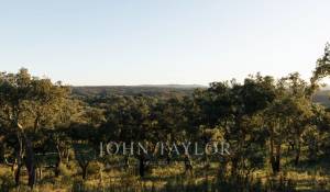 Prodej Pozemek São Francisco da Serra