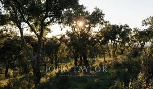 Prodej Pozemek São Francisco da Serra