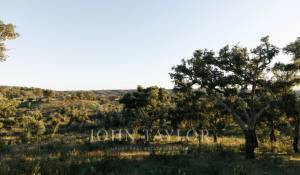 Prodej Pozemek São Francisco da Serra