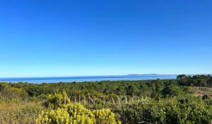 Prodej Pozemek Sesimbra