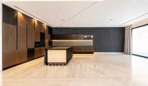 Prodej Penthouse Business Bay