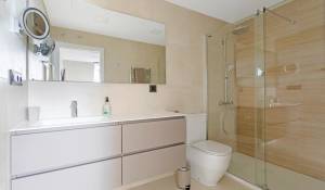 Prodej Penthouse Madrid