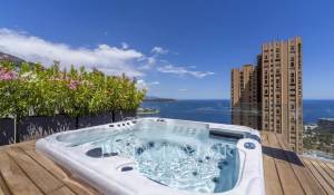 Prodej Penthouse Monaco