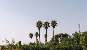 Prodej Riad Marrakech