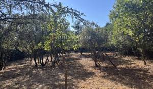 Prodej Stavební pozemky Cabrières-d'Avignon