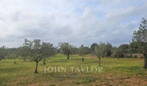 Prodej Stavební pozemky Llucmajor