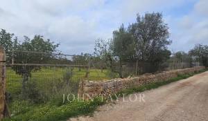 Prodej Stavební pozemky Llucmajor