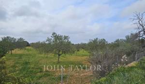 Prodej Stavební pozemky Llucmajor