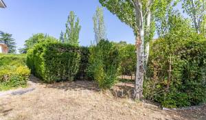 Prodej Stavební pozemky Majadahonda