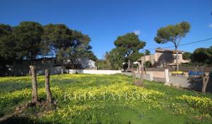 Prodej Stavební pozemky Palmanova