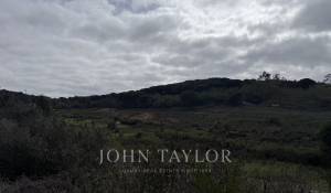 Prodej Stavební pozemky Tanger