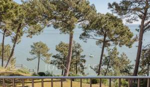 Prodej Triplex Cap-Ferret
