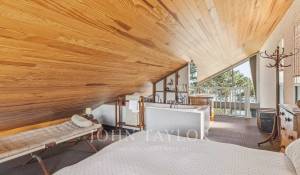 Prodej Triplex Cap-Ferret