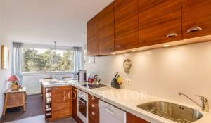 Prodej Triplex Cap-Ferret