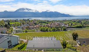 Prodej Twin Villa Chailly-Montreux