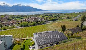 Prodej Twin Villa Chailly-Montreux