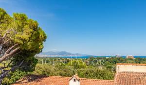 Prodej Vila Antibes