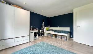 Prodej Vila Blonay-Saint-Légier