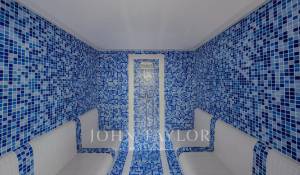 Prodej Vila Blonay-Saint-Légier