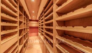Prodej Vila Blonay-Saint-Légier