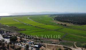 Prodej Vila Carvalhal