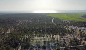 Prodej Vila Carvalhal