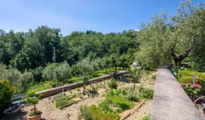 Prodej Vila Firenze