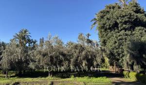 Prodej Vila Marrakech