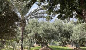 Prodej Vila Marrakech