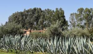 Prodej Vila Marrakech