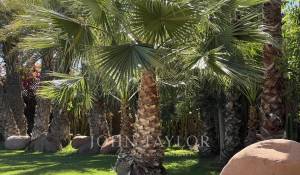 Prodej Vila Marrakech