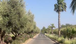 Prodej Vila Marrakech