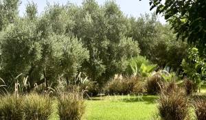 Prodej Vila Marrakech