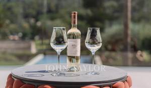 Prodej Vila Mougins