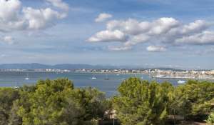 Prodej Vila Palma de Mallorca