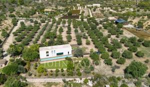 Prodej Vila Santa Maria