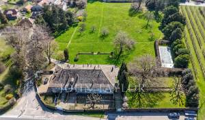 Prodej Vila Tolochenaz