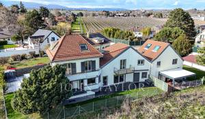 Prodej Vila Tolochenaz