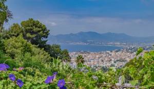 Prodej Vlastnictví Cannes