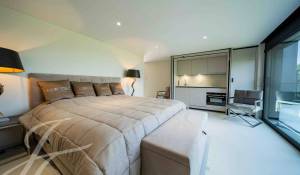 Prodej Vlastnictví Cologny