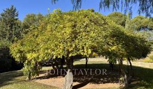 Prodej Vlastnictví La Cadière-d'Azur