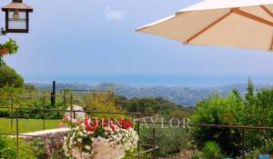 Prodej Vlastnictví La Colle-sur-Loup