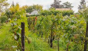 Prodej Vlastnictví Libourne