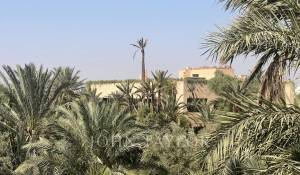 Prodej Vlastnictví Marrakech