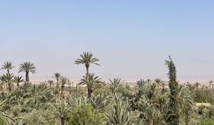 Prodej Vlastnictví Marrakech