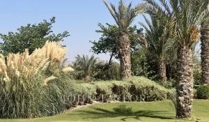 Prodej Vlastnictví Marrakech