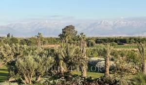 Prodej Vlastnictví Marrakech