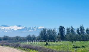 Prodej Vlastnictví Marrakech