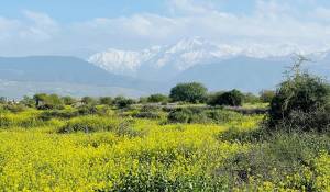 Prodej Vlastnictví Marrakech